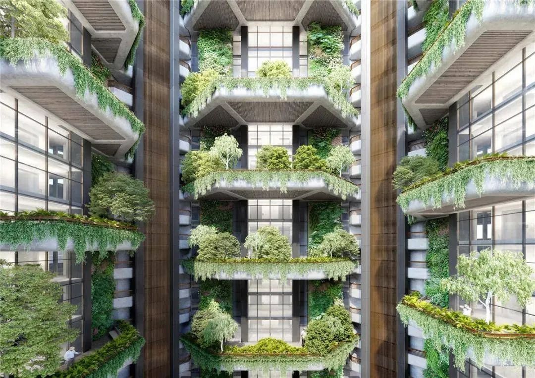 悟空网页版入口